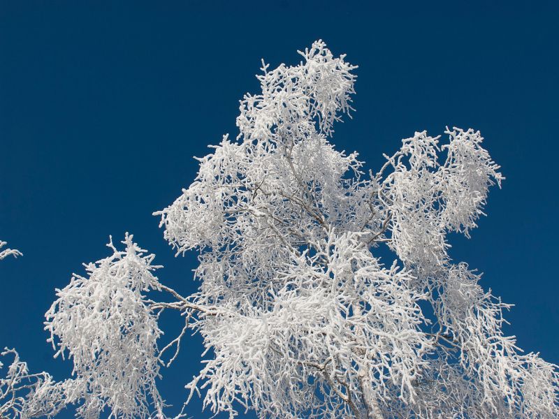 Winterfotografie, Foto: Martin Richter