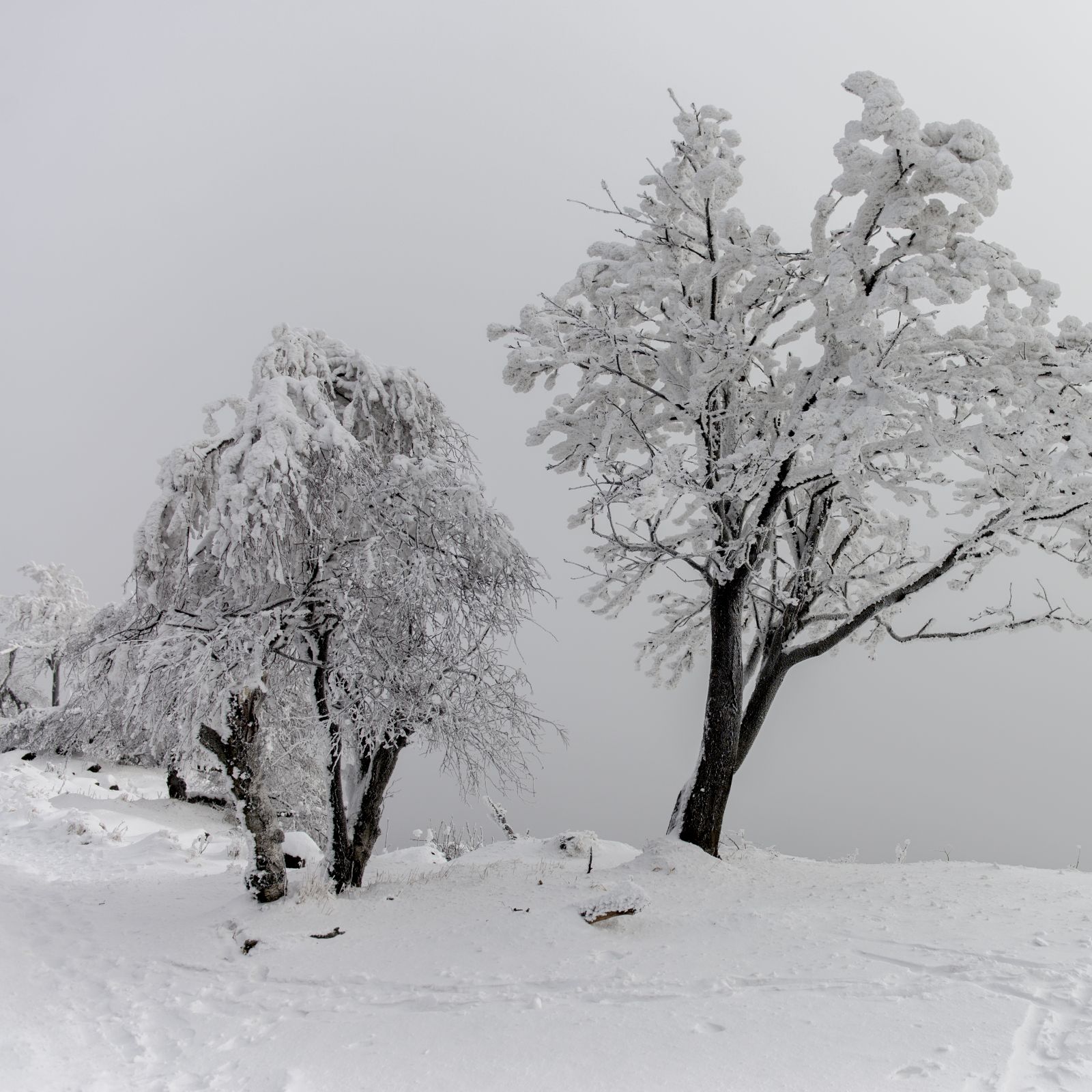 Foto: Martin Richter